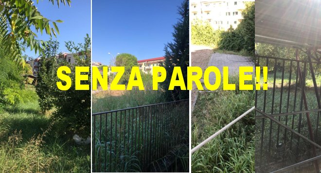 via meucci orto