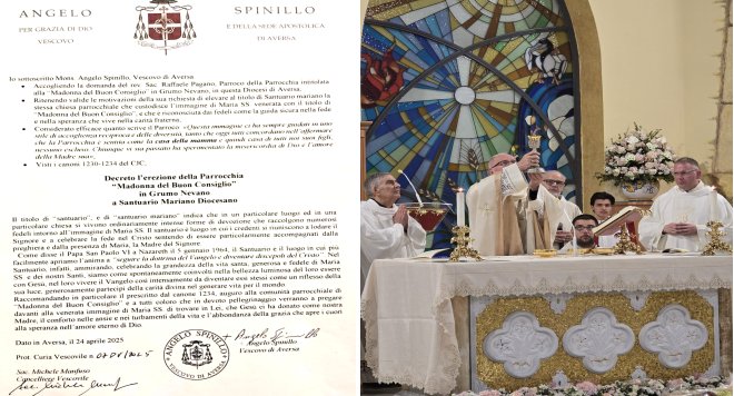 spinillo0